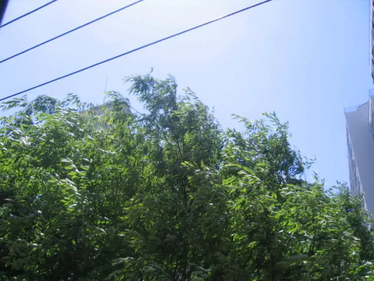thumbnail-4